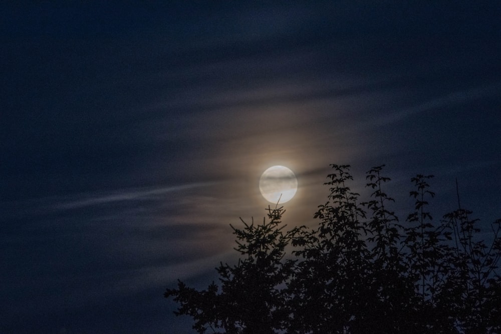 Fotografía de la luna en el cielo