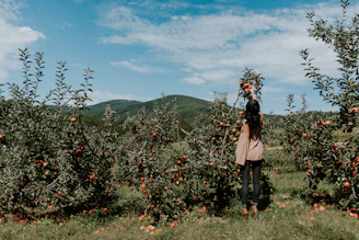 woman picking up orange fruit during daytikme
