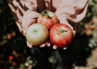 person holding three red apple fruits