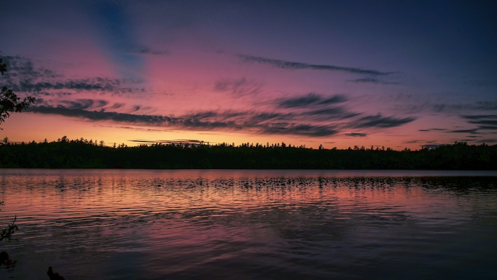 photo de silhouette d’un plan d’eau calme à travers la forêt