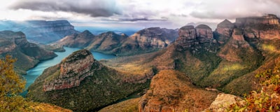 mountain cover with trees near the ocean south africa zoom background