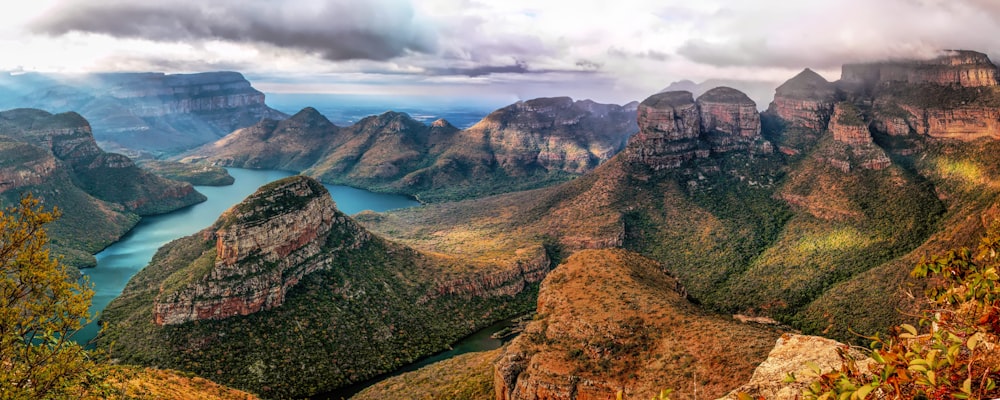 mountain cover with trees near the ocean