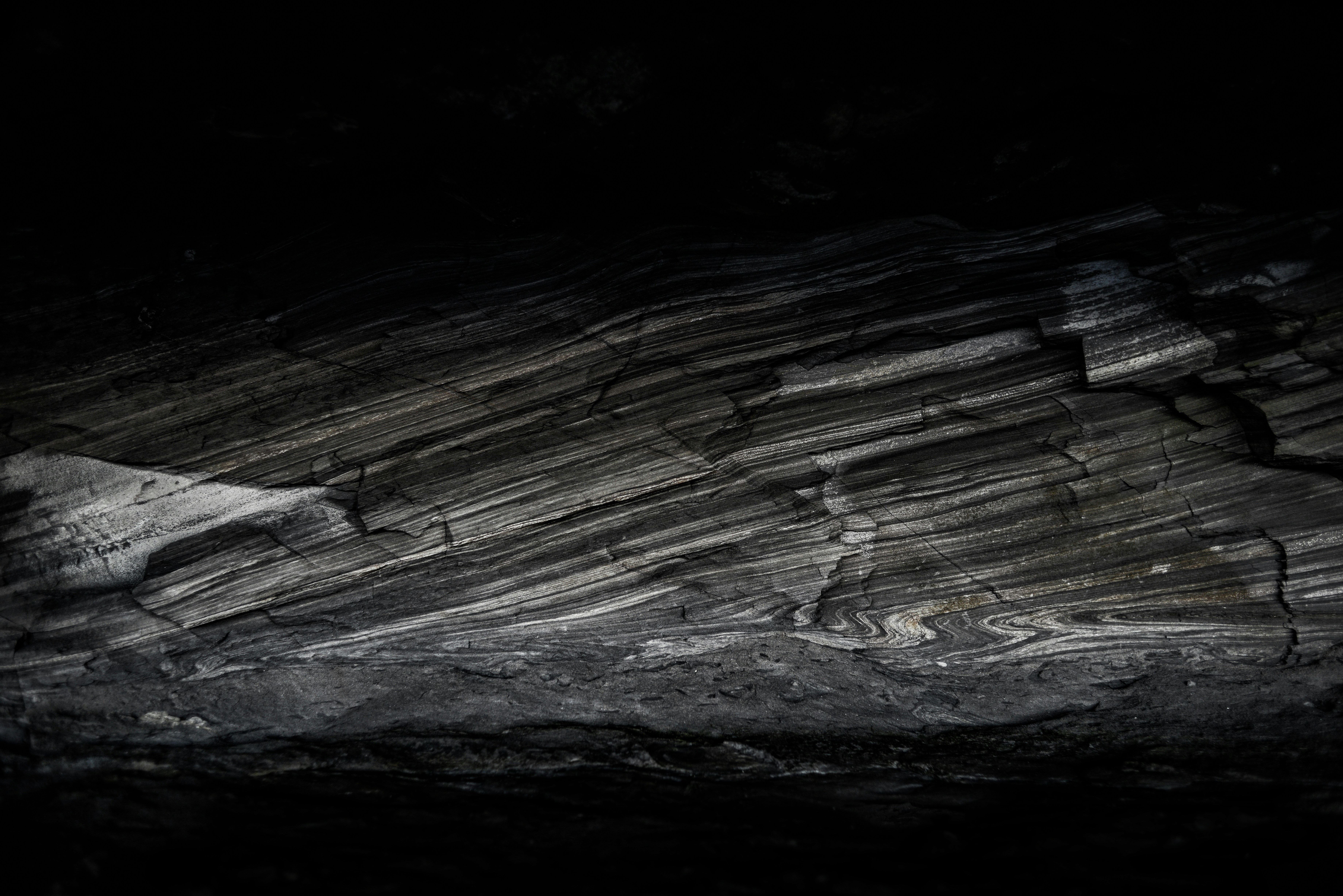 Photo by turner_imagery