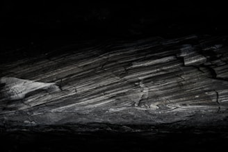 A dark, textured rock surface with pronounced layers and striations, illuminated by dim light creating subtle highlights across its undulating form. The composition emphasizes the natural complexity and age of the geological formation.