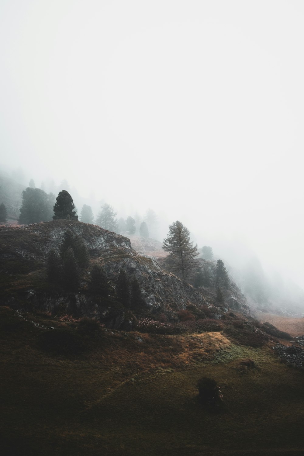 fog-covered mountain