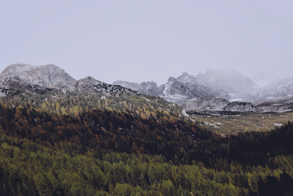 grass field near on mountain