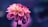 selective focus photo of pink petaled flower