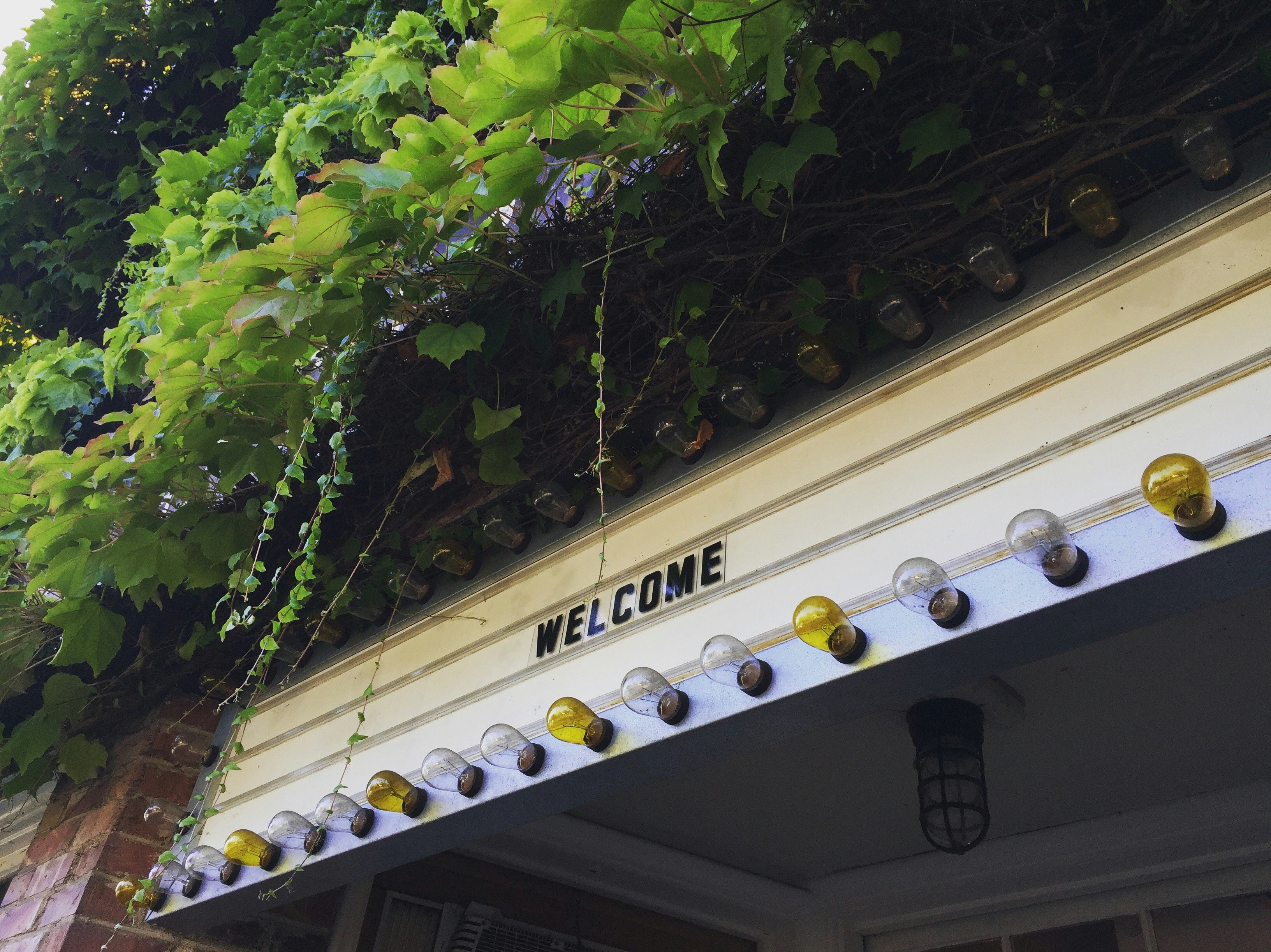 Welcome Print Door Mat