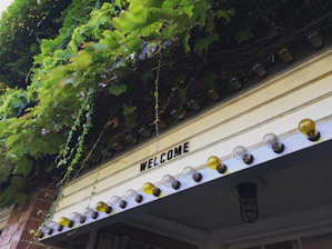 A welcoming home entrance with a sunlit porch and green plants.