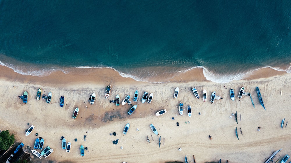 Vista aérea de personas en la costa