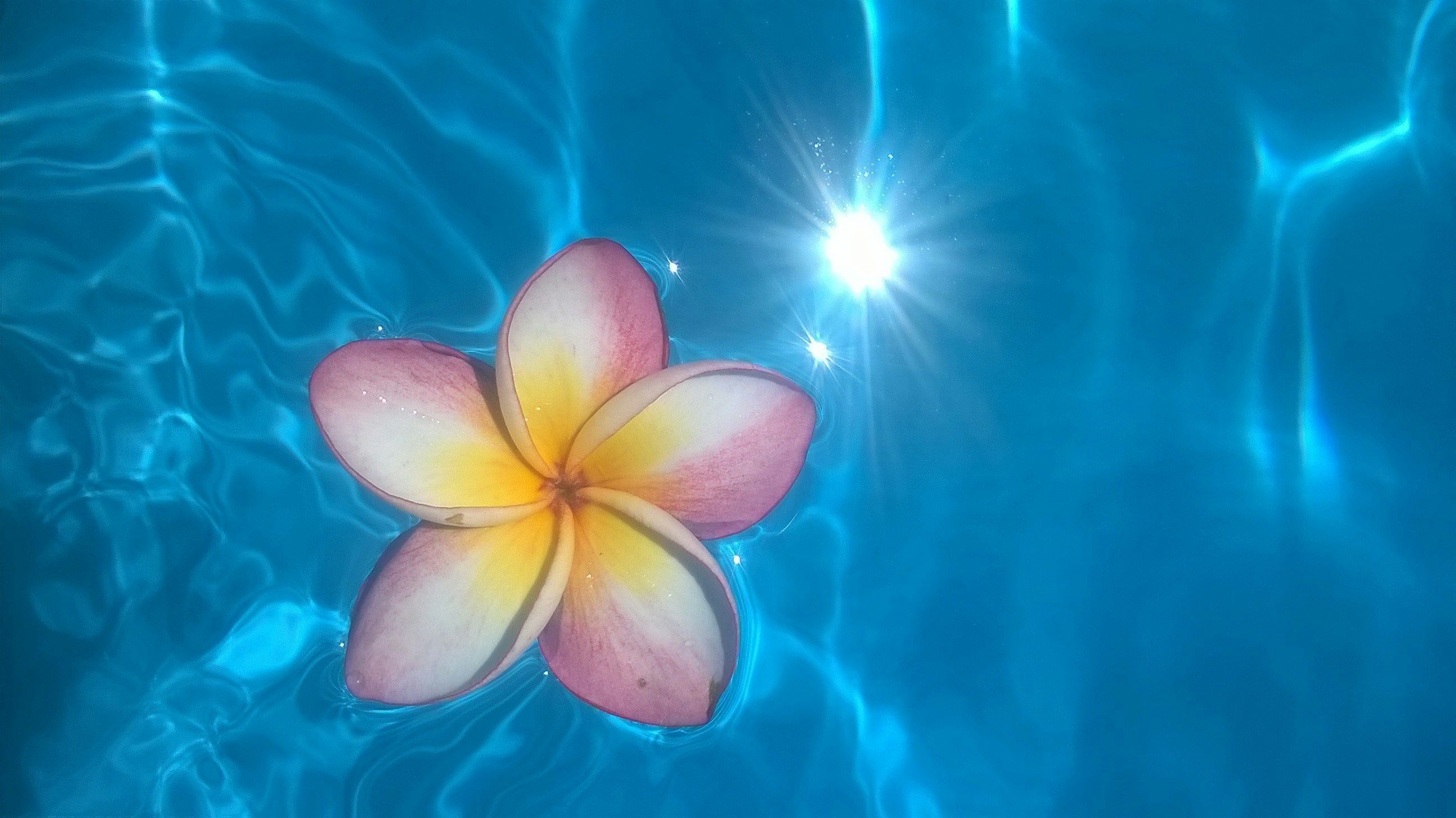 photo 1507297609927 f12c42ff7437?ixlib=rb 4.0