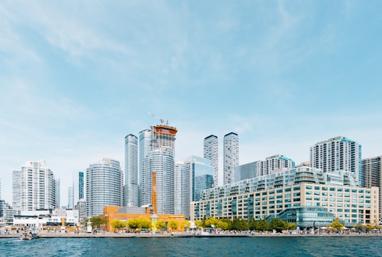 body of water near high-rise buildings under blue sky in Harbour Square Park Canada