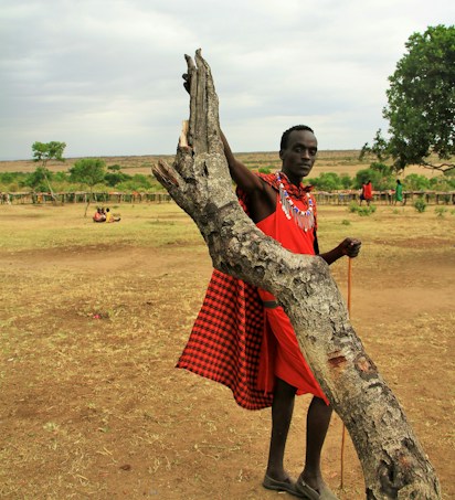 A person wearing traditional Maasai clothing, characterized by a red shuka and beaded accessories, leans against a large tree branch. The background features a rural landscape with sparse vegetation, a few trees, and a group of people sitting in the distance. The sky is slightly overcast, adding a serene yet earthy feel to the scene.