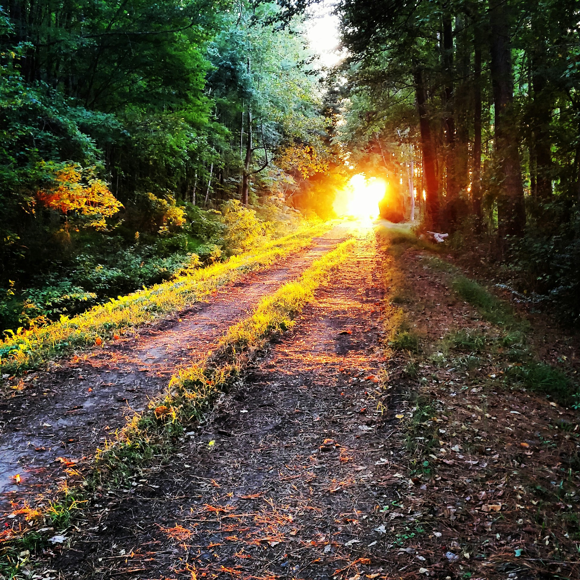 gray computer monitor