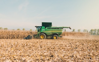 A green combine harvester is actively working in a vast cornfield on a bright, clear day. The machine is surrounded by tall, dried corn stalks and is kicking up dust as it processes the crops. The horizon in the background shows a line of trees under a blue sky.
