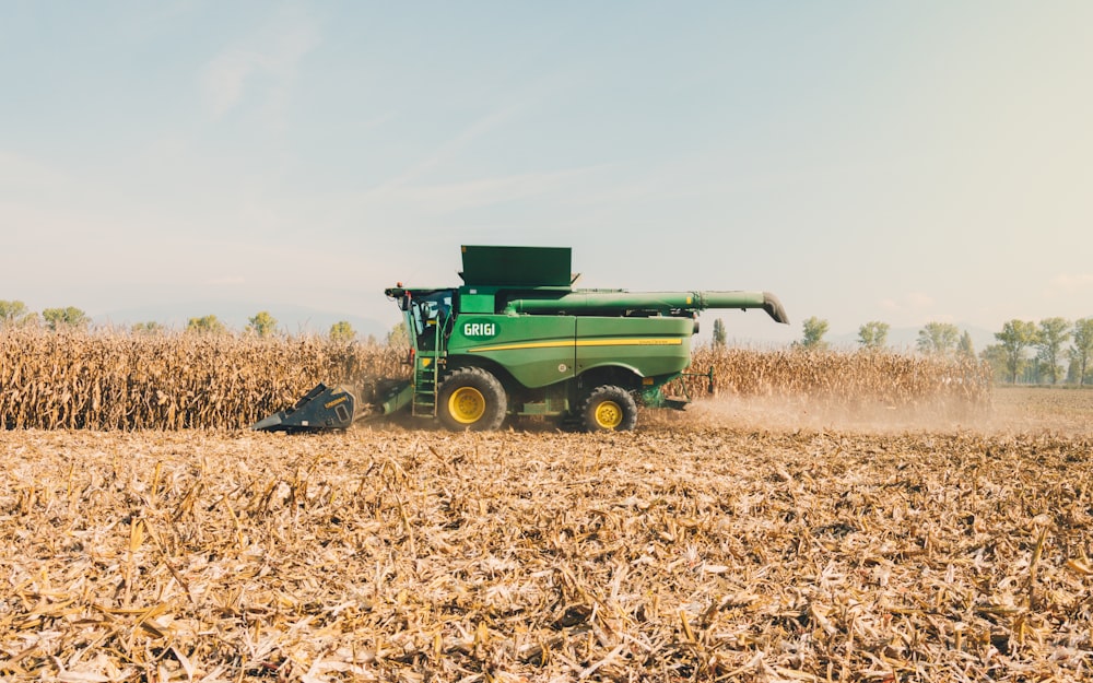 Corn Harvest Pictures | Download Free Images on Unsplash