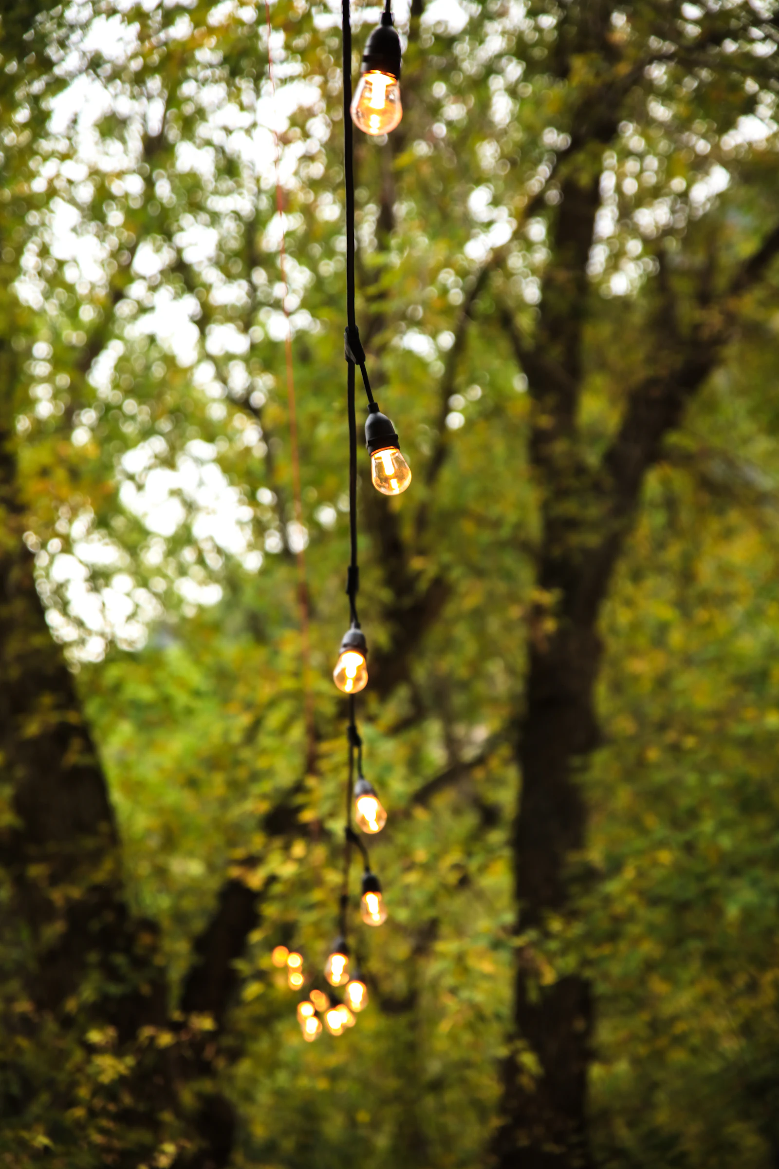 Warm string lights glowing over a garden at dusk, an example of outdoor lighting Horizon installs in Owensboro, KY