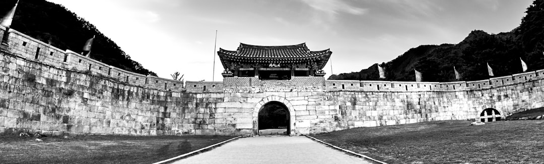 grayscale landscape photography of a pagoda building