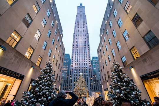 person standing beside two Christmas trees with baubles in Rockefeller Center United States
