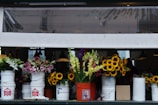 A row of colorful flowers arranged in white and orange buckets is placed on a shelf or counter. The flowers include sunflowers, lilies, and other assorted blooms in bright, vibrant colors. The scene is set indoors with dim lighting in the background and a protective plastic canopy partially visible above.