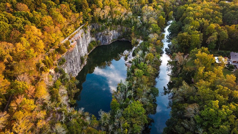 laguna con árboles circundantes