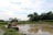 A tractor is positioned beside a muddy agricultural field, possibly a rice paddy. The area is surrounded by lush green trees and vegetation. Several birds are visible in the wet field area. Above, the sky is mostly clear with a few clouds, indicating a fair weather day.
