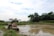 A tractor is positioned beside a muddy agricultural field, possibly a rice paddy. The area is surrounded by lush green trees and vegetation. Several birds are visible in the wet field area. Above, the sky is mostly clear with a few clouds, indicating a fair weather day.