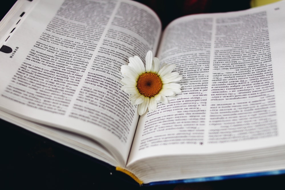 flor de pétalos blancos en la foto del libro