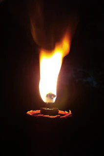 A glowing bush aflame yet untouched, symbolizing divine presence and refinement.