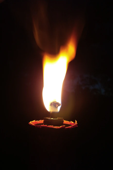 A glowing bush aflame yet untouched, symbolizing divine presence and refinement.