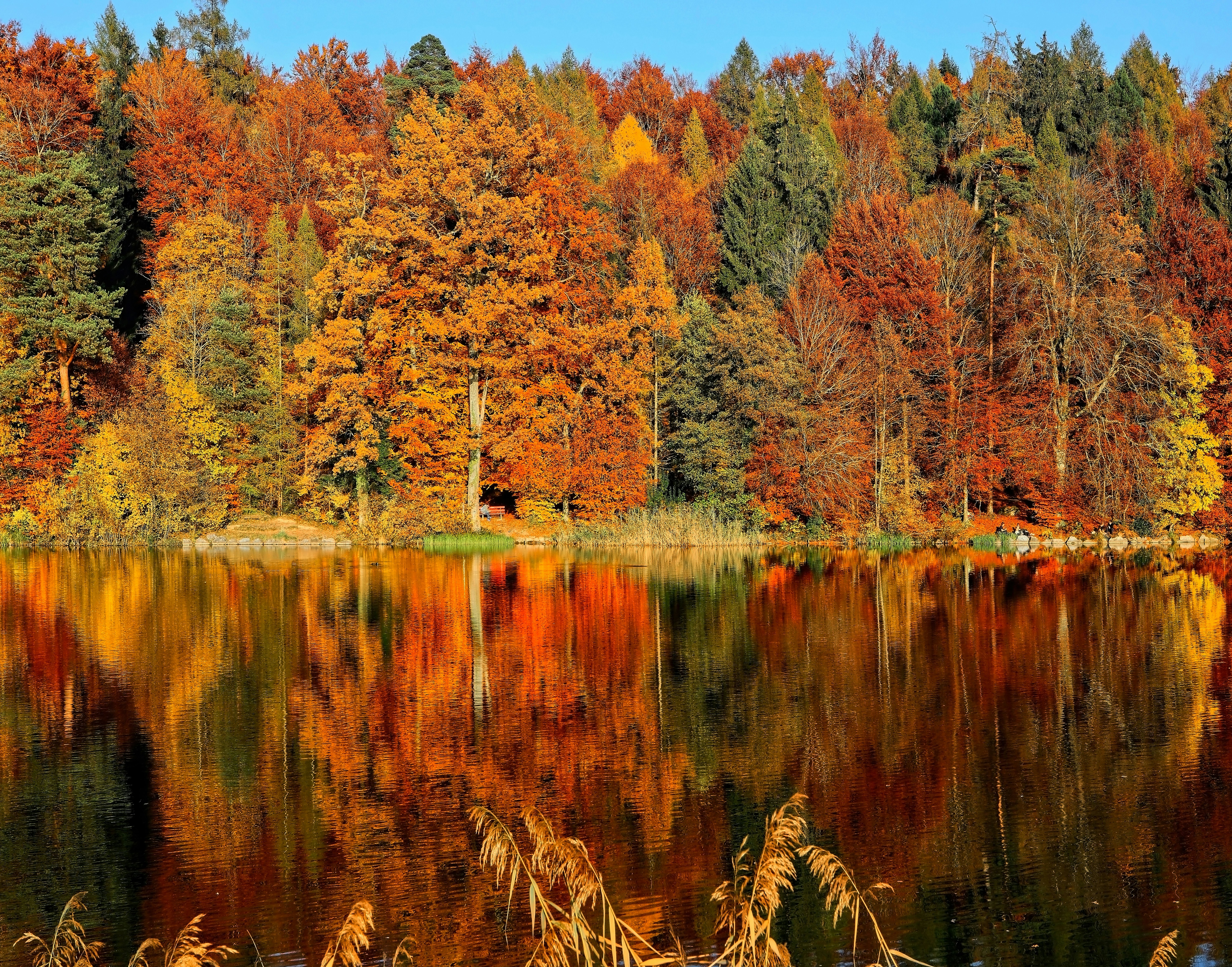 Autumn treks