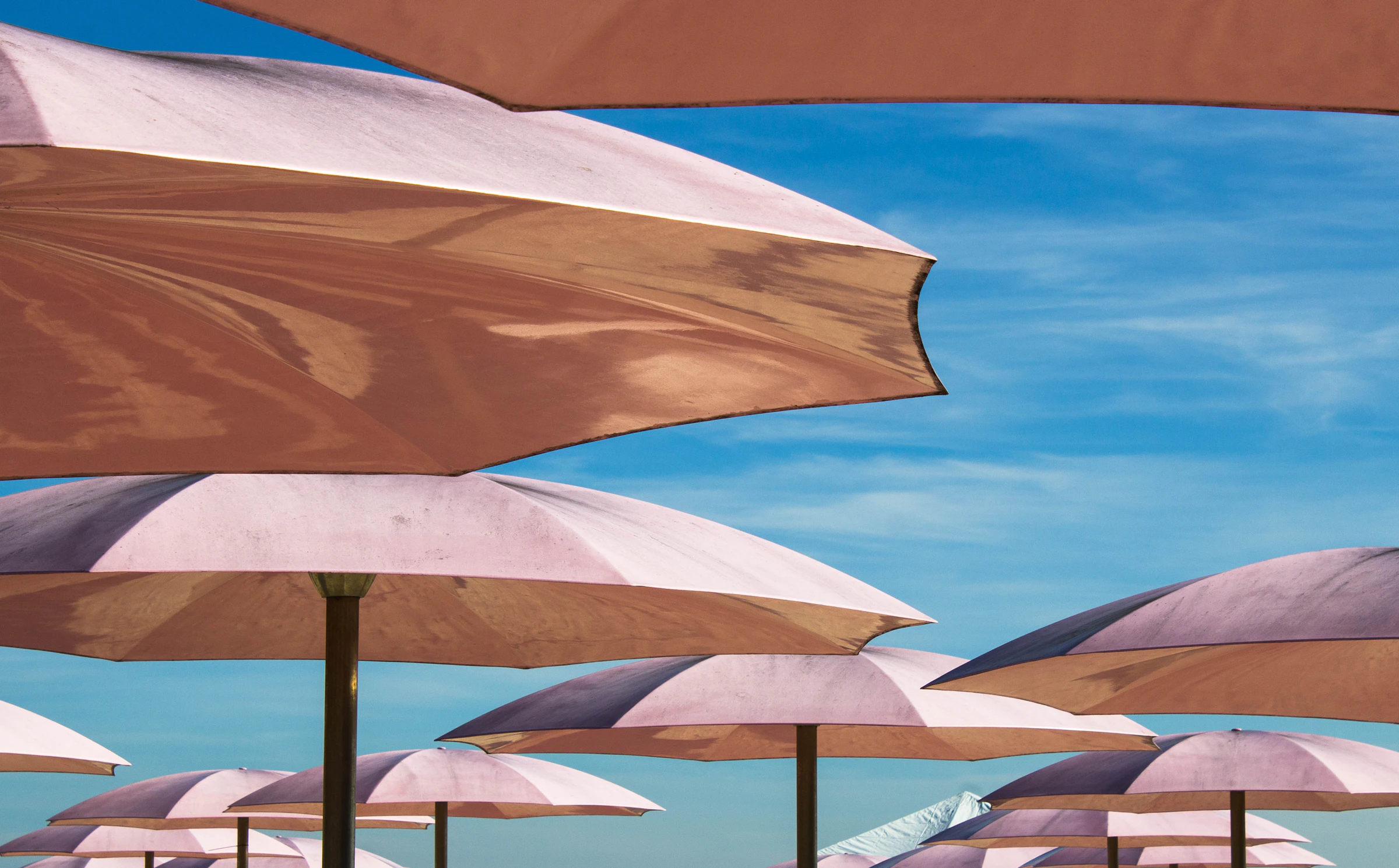 White beach umbrellas arranged beside calm blue water