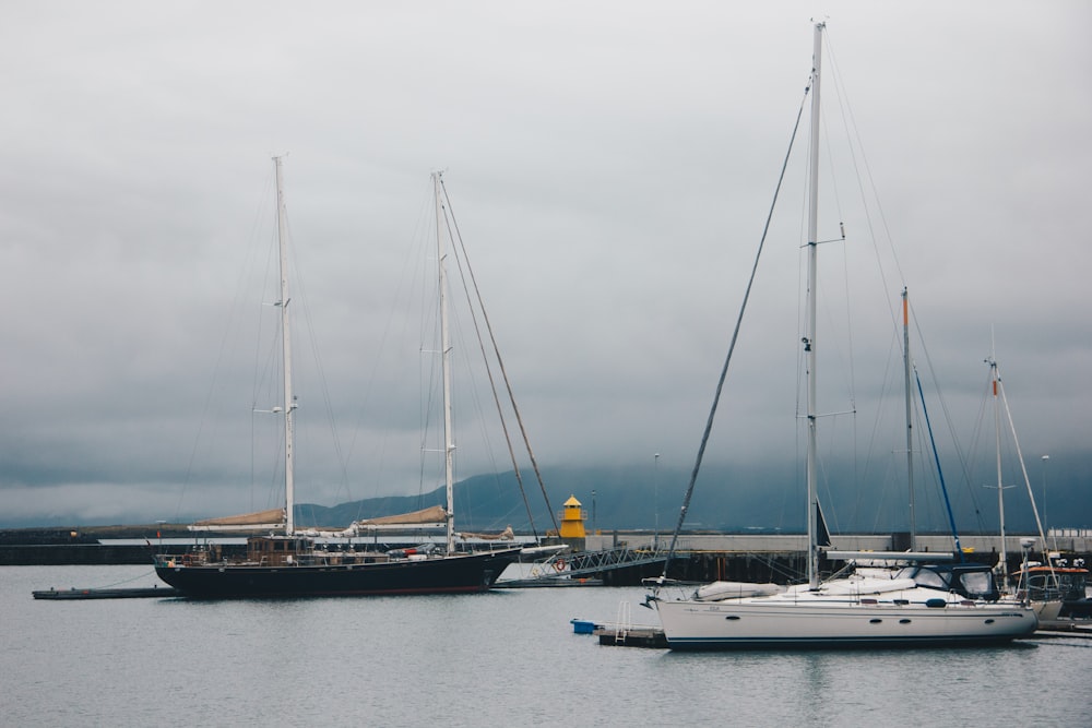 white and blue sail boat