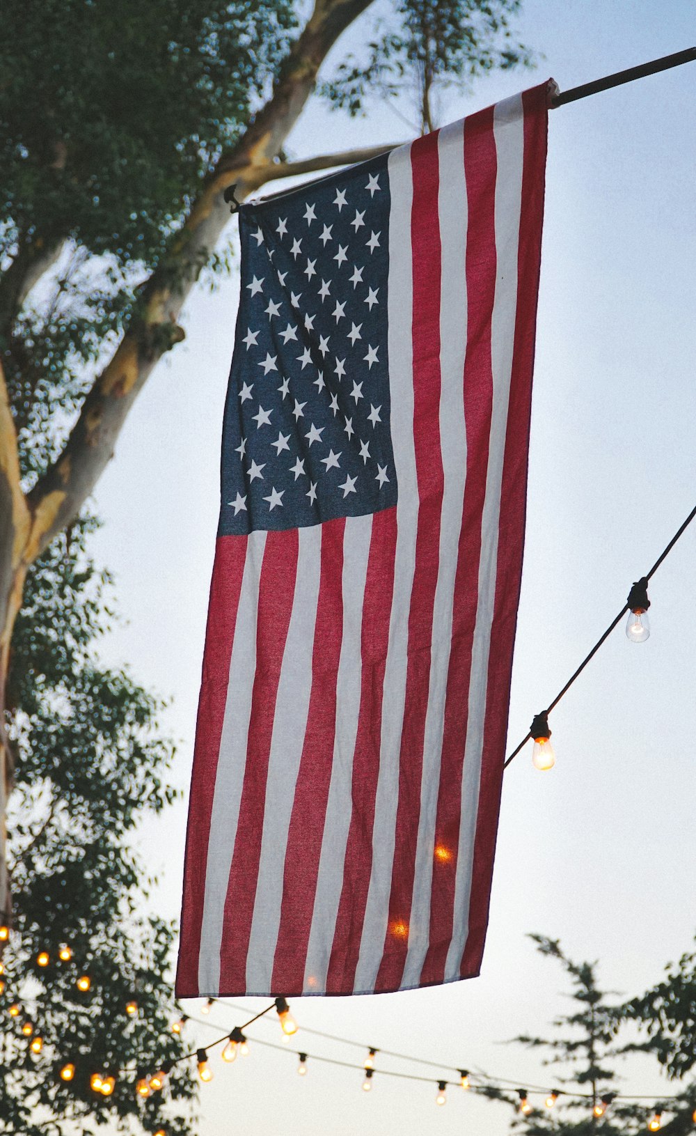 USA flag on black rod