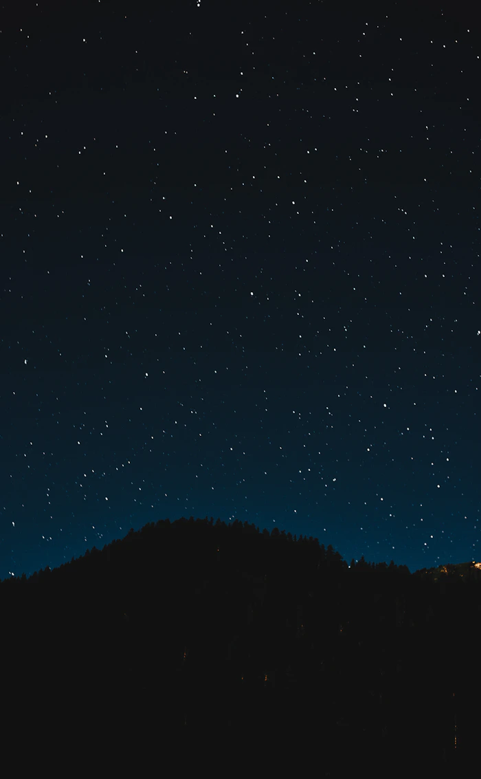 night