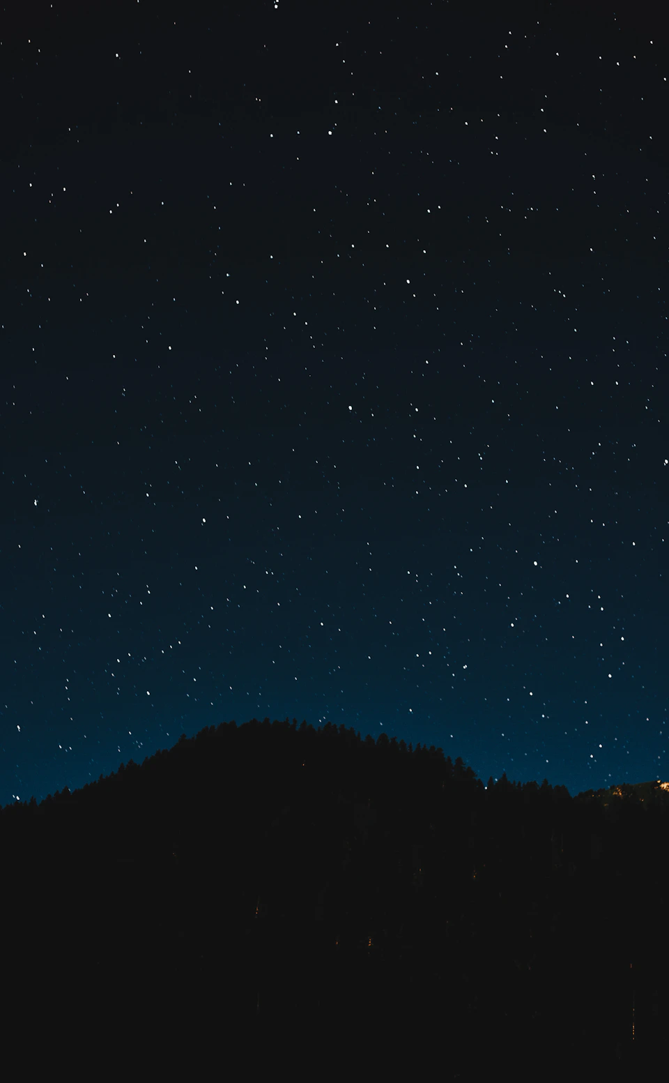 Night sky over dense jungle canopy with stars visible