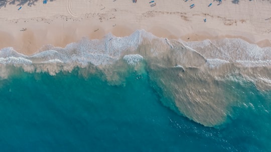 bird's eye view of beach beside body of water during daytime in Punta Cana Dominican Republic