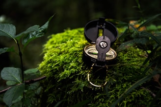 A brass compass opened on a bed of vibrant green moss surrounded by lush foliage in a forest setting. The compass is highlighted in sunlight, standing out against the dark, natural background.