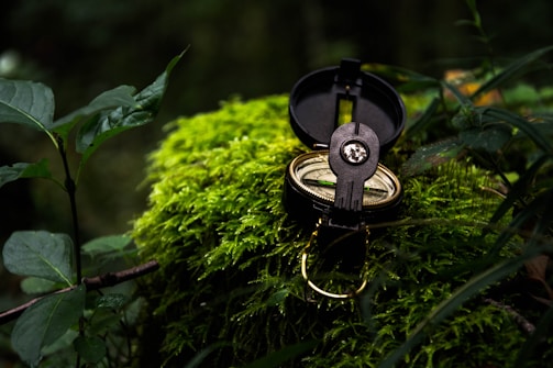 A brass compass opened on a bed of vibrant green moss surrounded by lush foliage in a forest setting. The compass is highlighted in sunlight, standing out against the dark, natural background.