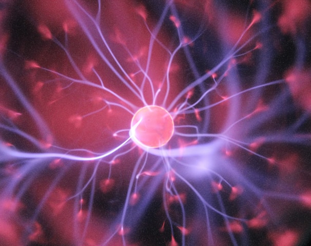 purple and pink plasma ball