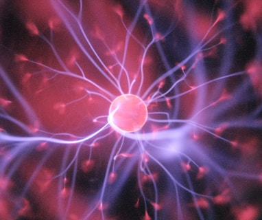 purple and pink plasma ball