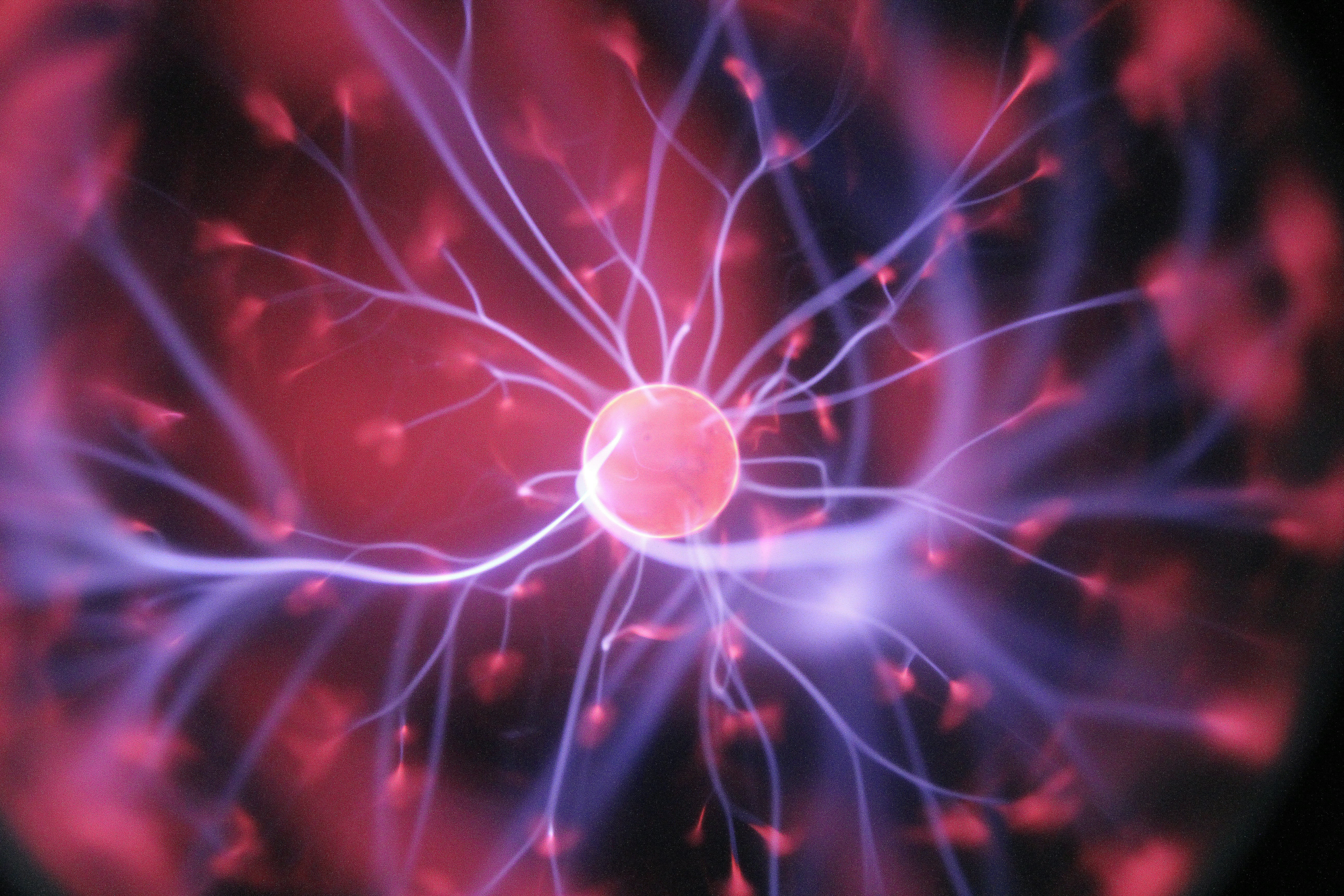Artificial Intelligence Classifying Tumors