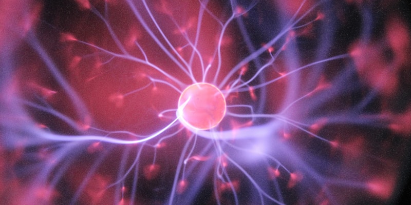 Will the James Webb Telescope discover signs of life on an exoplanet in 2026?