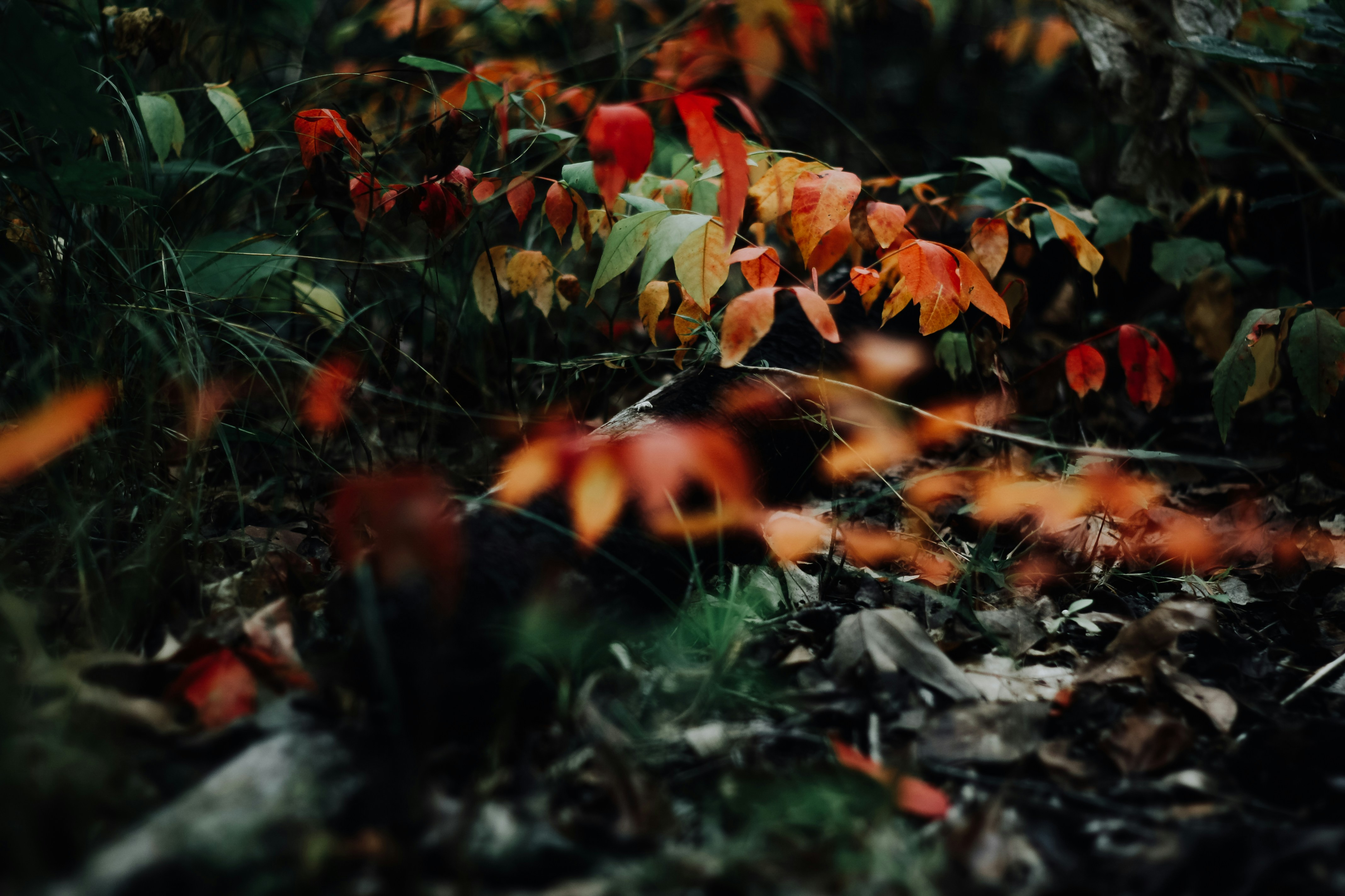 Photo by taylorannwright