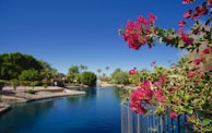 Colorful tropical flowers blooming along the path, with the turquoise bay visible in the distance.