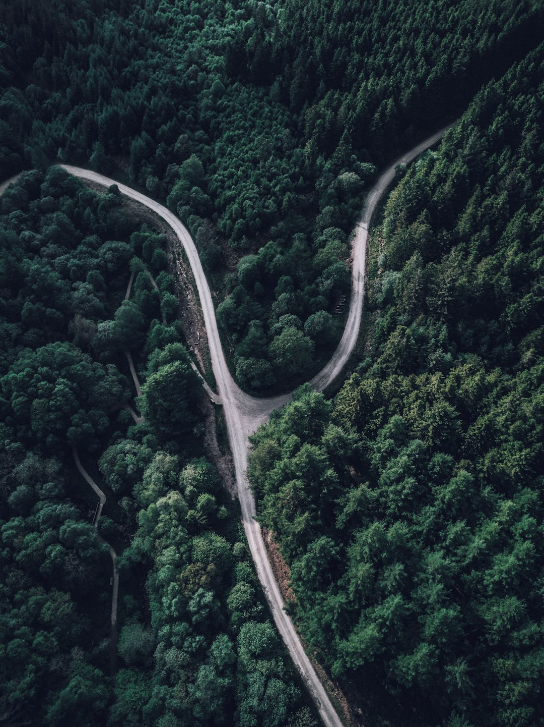 travelers stories about Forest in Brecon Beacons, United Kingdom