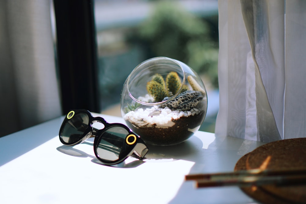 Sonnenbrille mit schwarzem Rahmen in der Nähe von Glasschale mit Pflanze auf dem Tisch
