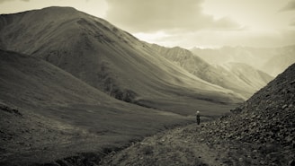 A person walks alone on a narrow path between towering mountains, surrounded by a vast and rugged landscape. The atmosphere is serene and the environment expansive.