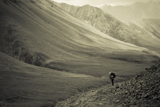 A lone hiker traverses a vast, desolate landscape of barren hills and valleys. The monochromatic scene emphasizes the rugged terrain and the solitude of the journey. The hills undulate gently, creating a sense of isolation and tranquility.