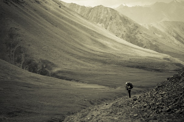 A lone hiker traverses a vast, desolate landscape of barren hills and valleys. The monochromatic scene emphasizes the rugged terrain and the solitude of the journey. The hills undulate gently, creating a sense of isolation and tranquility.